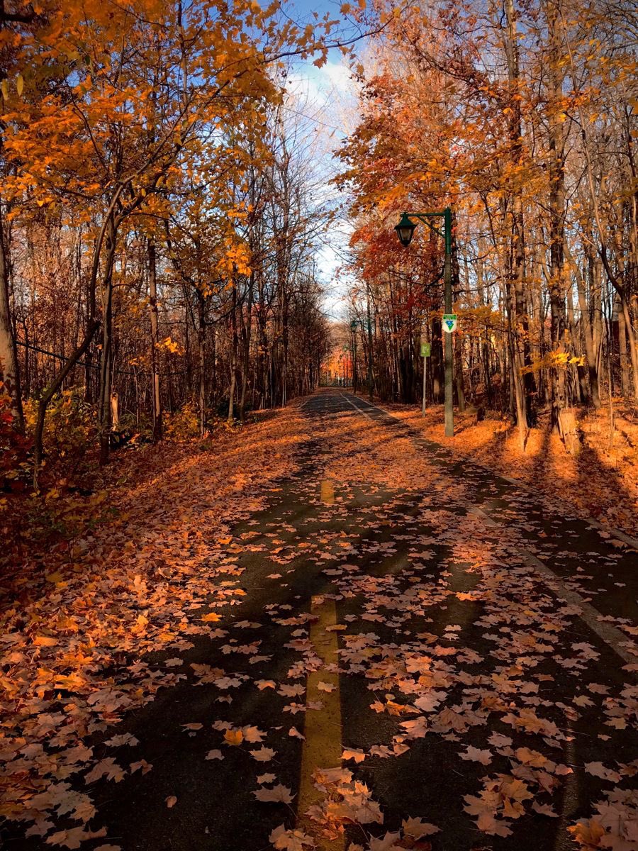 thespookygirll's tweet photo. next stop, October 🎃👻🦇🍂🤎💀⛈️ https://t.co/WF0ri9sGob