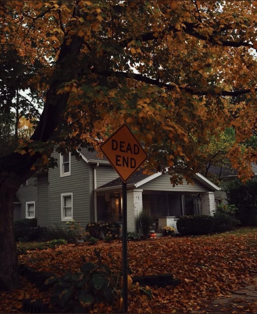 thespookygirll's tweet photo. next stop, October 🎃👻🦇🍂🤎💀⛈️ https://t.co/WF0ri9sGob