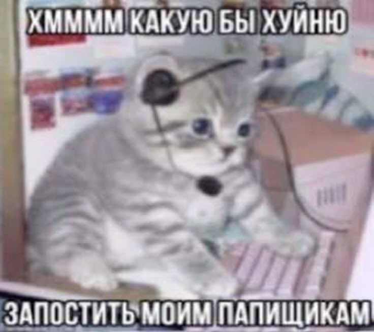 antikrii's tweet photo. (мои подписчики это две шлюхи, Артём и чудо девушка которая подписалась на меня из жалости) https://t.co/JqzSymR9cc