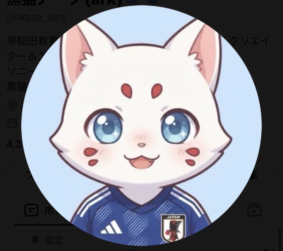 黒猫アーク(ark)🪼 on X: 