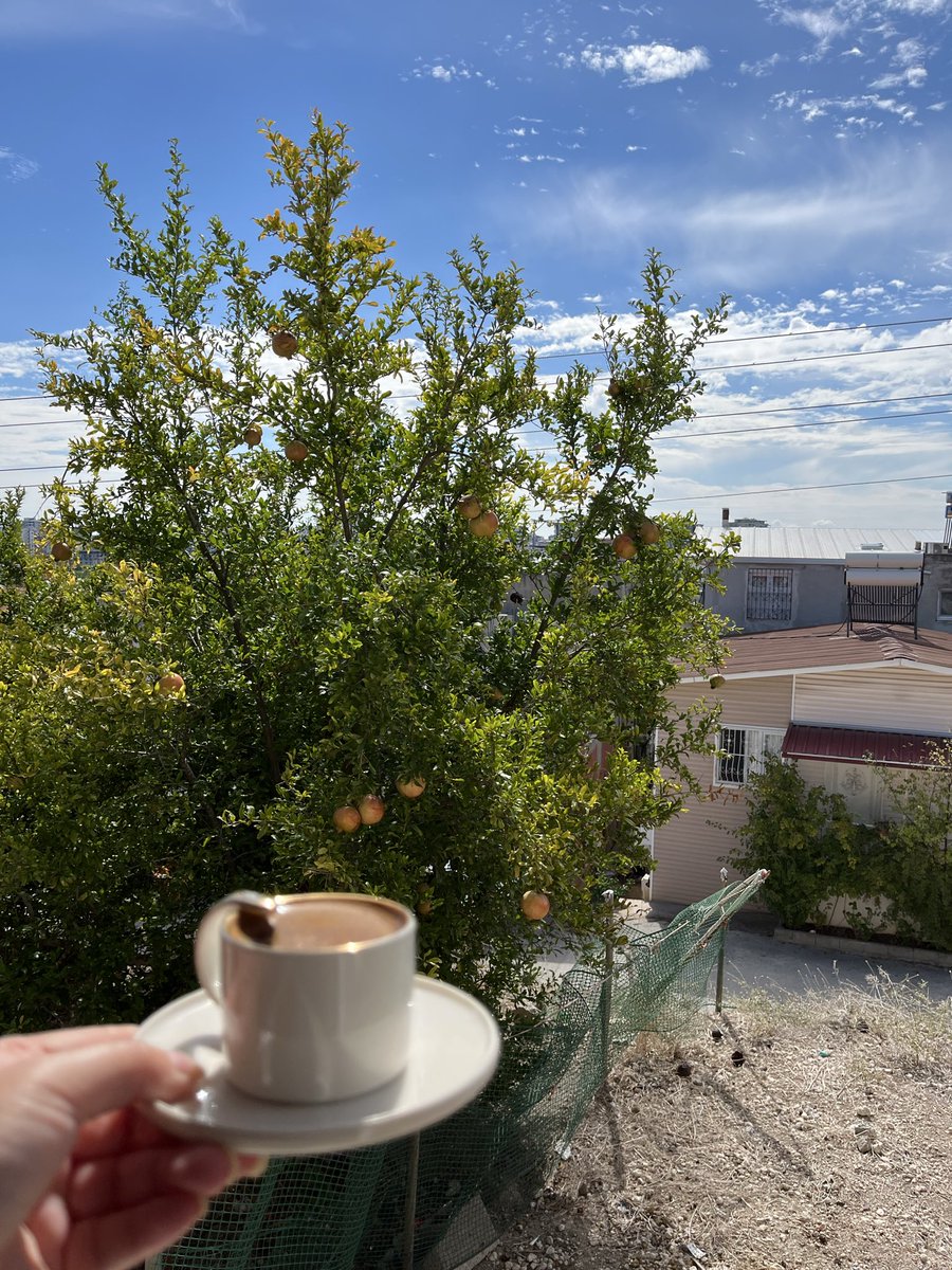 mhtp0252's tweet photo. Sonbahar güneşi nar dalları ve günün en sevdiğim anı. ☕️☀️ https://t.co/yLXHqTYRoq