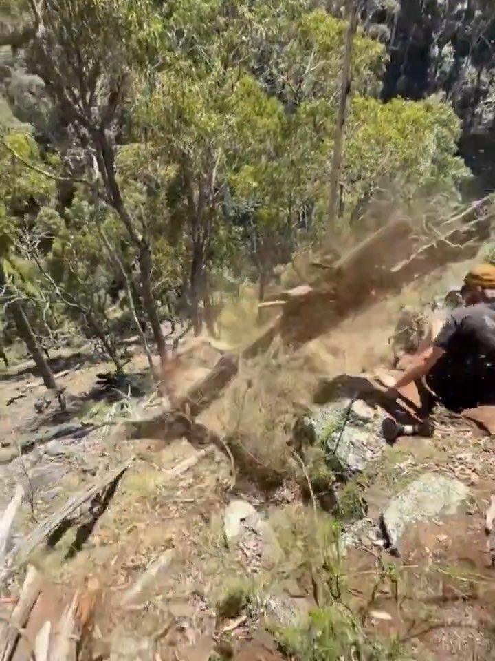 A blurry, chaotic outdoor scene showing a person in a hat crouching near dry brush and trees on a hillside, with a large bird-like shape appearing to fly toward them.