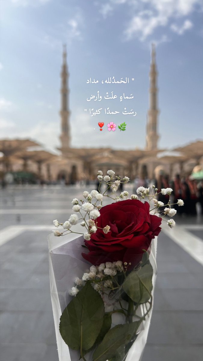 nadoo_ba's tweet photo. " صباحٌ مطالعُ سعدِهِ تجلّتْ
باسمةً، وضّاءة، نديّة، ألِقة " 🌿🌸❣️. 
——
الأربعاء | ١٩ ربيع الآخر ١٤٤٨هـ🎉🎈🤍. https://t.co/J0nRq4iSao