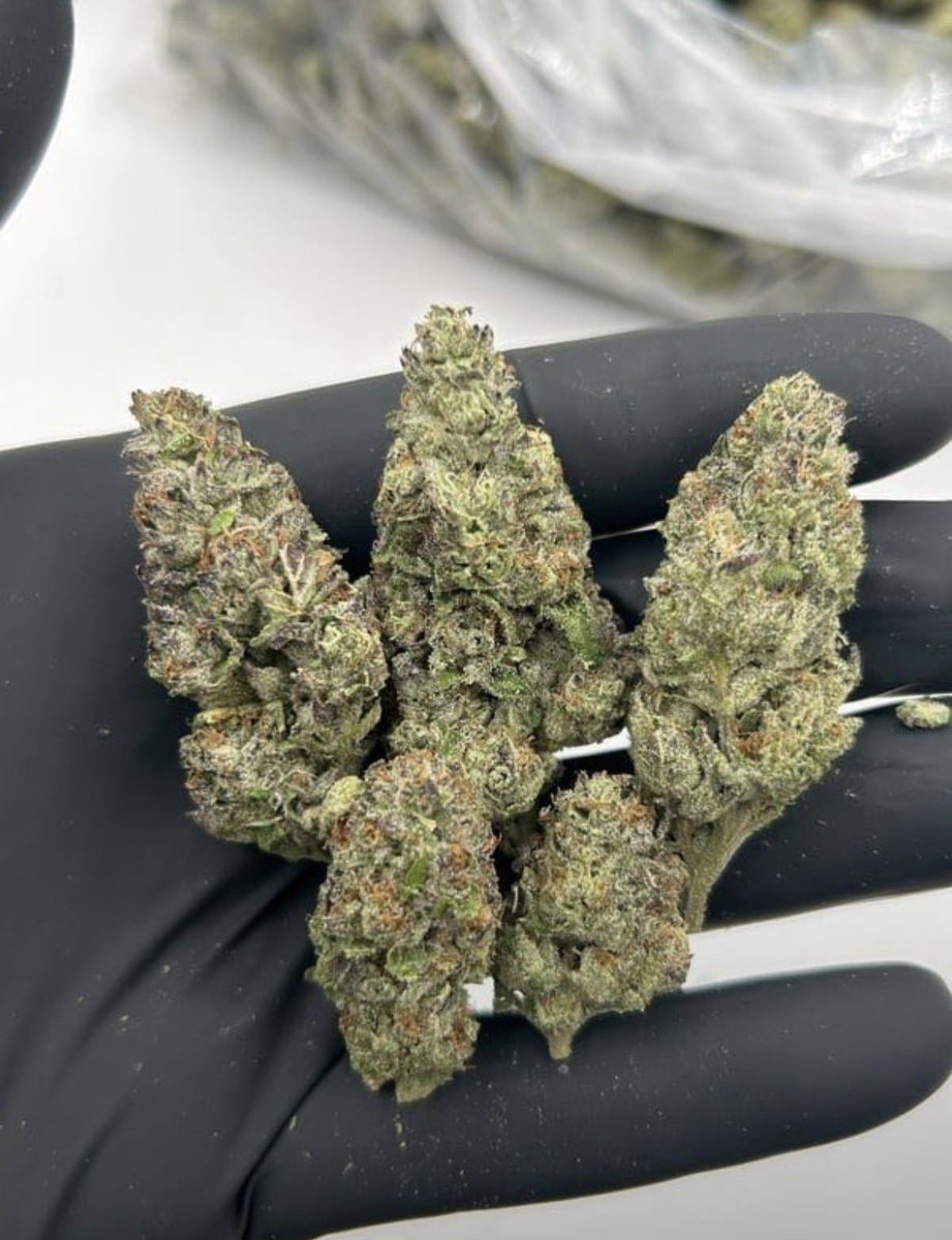 Dcosmickush's tweet photo. FUNDIP
📦 1 LB @ $600

AVAILABLE IN BIT N BULK 📦
☎️ORDER ON WHATSAPP
+1 (430) 588-6910

NEED SOMETHING ELSE?
SHOP ON MY DISCORD 🏪
https://t.co/RwzZfO1n3C https://t.co/gSamzrrADN