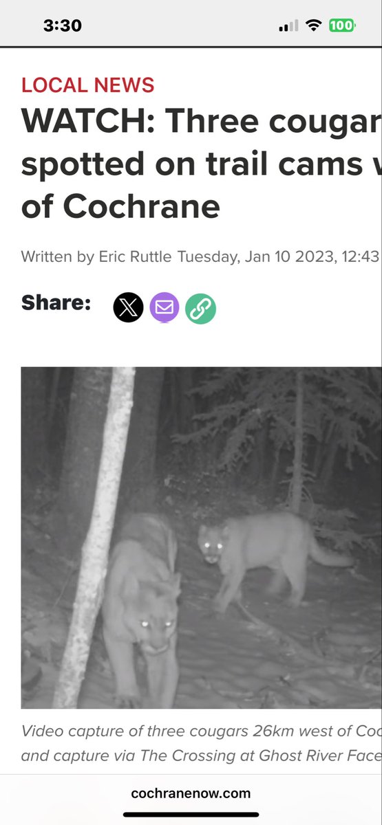 VancSpankBank's tweet photo. British Columbia, Canada 🇨🇦
Rocky Mountain Lions 🦁🇨🇦 https://t.co/jwrTF8pHF5