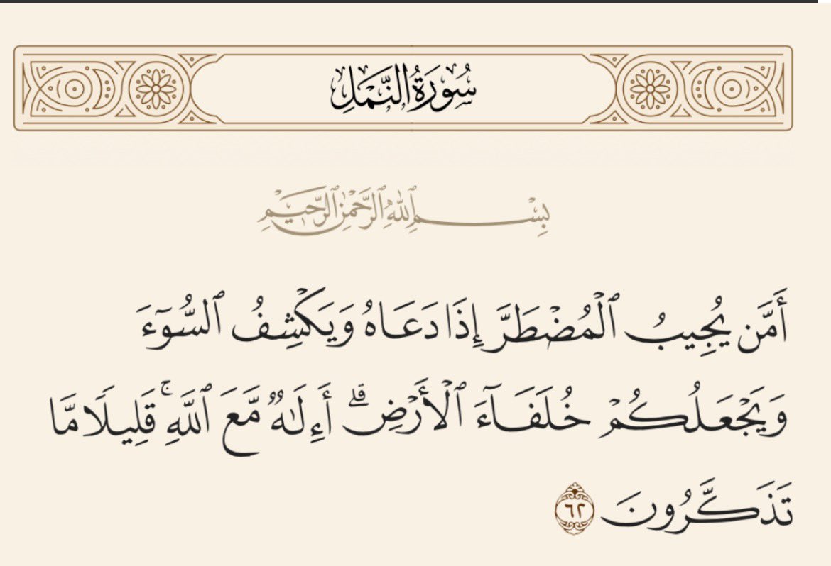 Mra74_'s tweet photo. مساء الخير https://t.co/8EV22ZtNgm