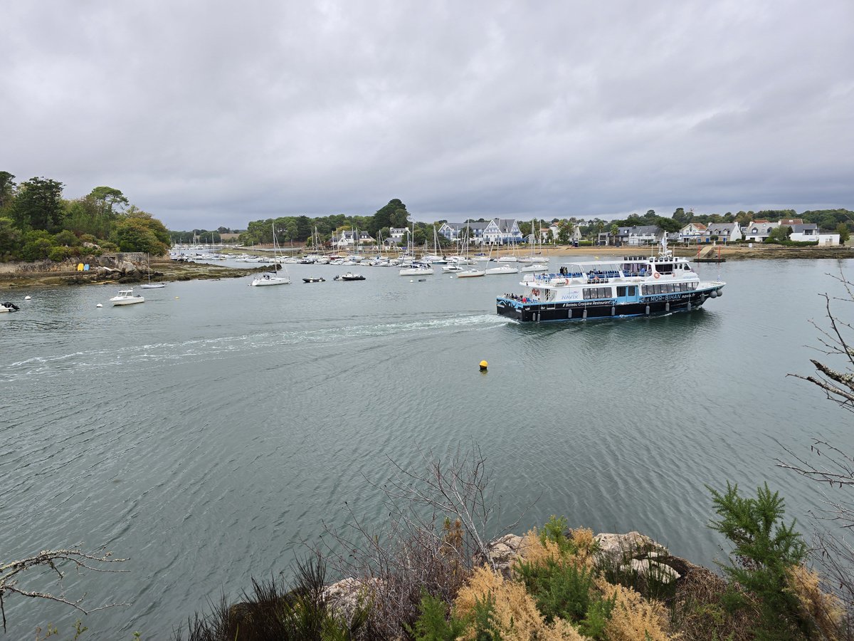 DuGolfe's tweet photo. Conleau vu de Port-Anna
Golfe du #Morbihan, #Bretagne https://t.co/nKAKR3yF9d