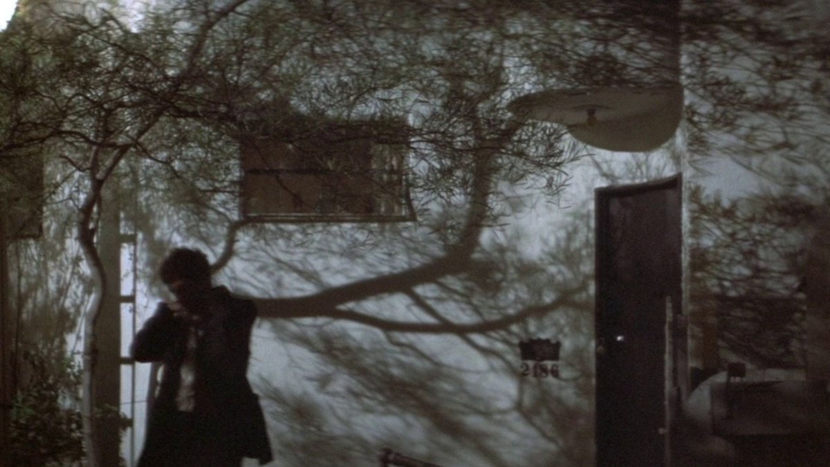 vilibazmiooo's tweet photo. The Long Goodbye (1973)
dir. Robert Altman
https://t.co/KioawudGys
1080p BluRay REMUX eng subs (31GB) https://t.co/n87Tn2TWjn
