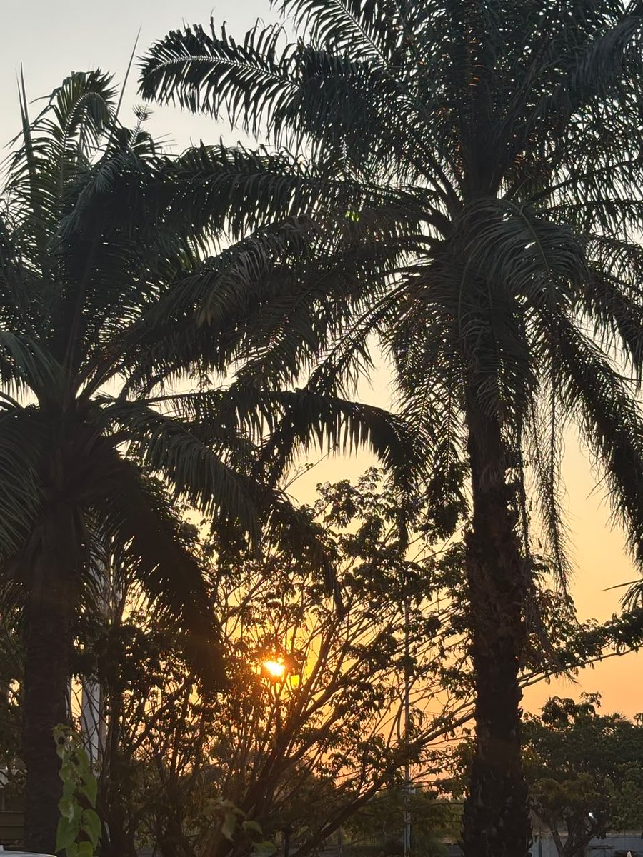 shntyw_'s tweet photo. 🌴🌅🌕 https://t.co/0rbAERcihw