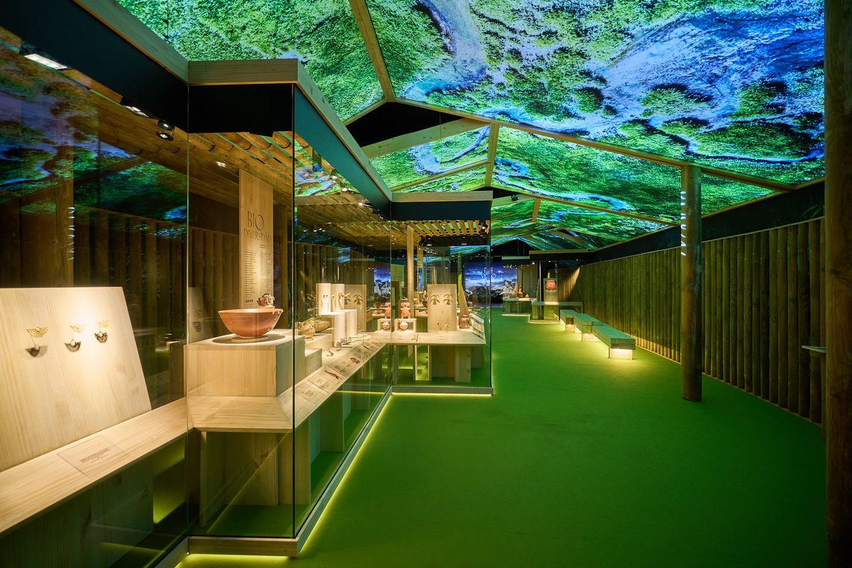 marqalicante's tweet photo. Sala I, evoca una casa o “maloca”, que alhora és reflex de l'univers. S'hi exhibeixen recipients de ceràmica que són a la vegada casa i cos humà, així com nombroses aus, plantes i animals d'orfebreria que ens recorden l'extraordinària biodiversitat de Colòmbia
#MARQColombia https://t.co/5571j3TQfS