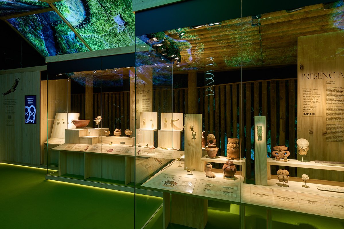marqalicante's tweet photo. Sala I, evoca una casa o “maloca”, que alhora és reflex de l'univers. S'hi exhibeixen recipients de ceràmica que són a la vegada casa i cos humà, així com nombroses aus, plantes i animals d'orfebreria que ens recorden l'extraordinària biodiversitat de Colòmbia
#MARQColombia https://t.co/5571j3TQfS