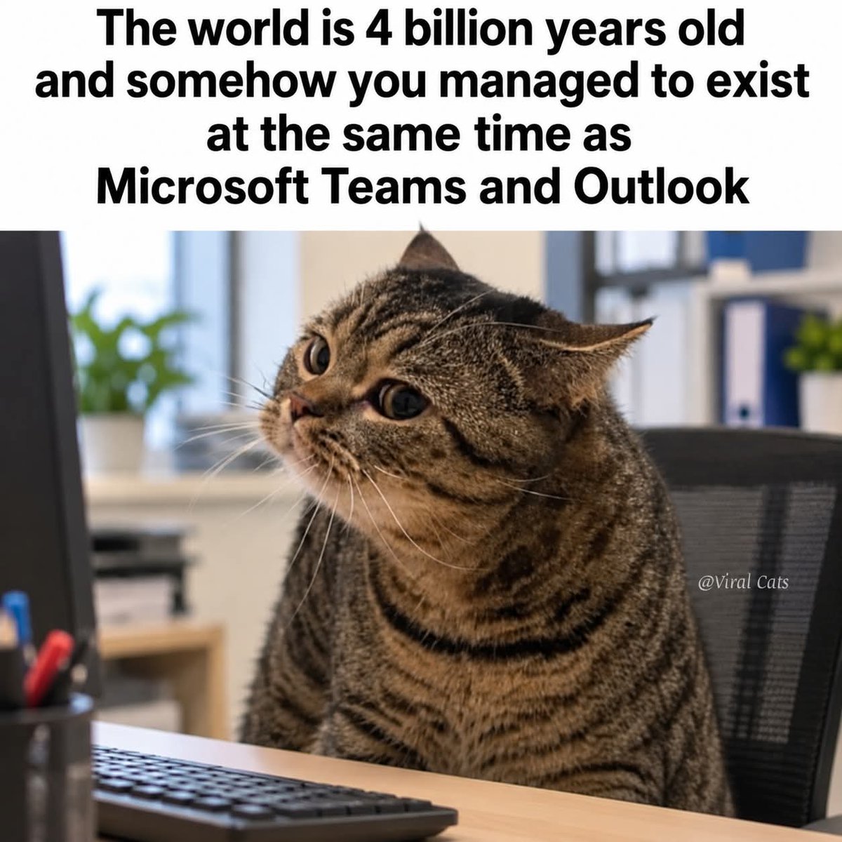 OrwellNGoode's tweet photo. https://t.co/CzPXADjEEy