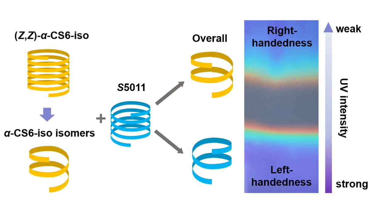 ChiralChem's tweet photo. 🌈 Can one material switch both its handedness and structural color?

Yonggang Yang team reports a #photochromic cholesteric liquid #crystal system enabling precise control of handedness and reflection wavelength for colorful polymer network patterns.
📖 https://t.co/LExrvjxebb https://t.co/auqLSh33vu