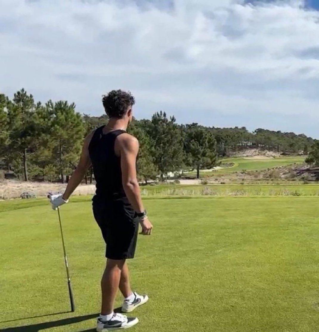 femfluro's tweet photo. lando in sleeveless shirts 🤤 https://t.co/lGwyHvlhhO
