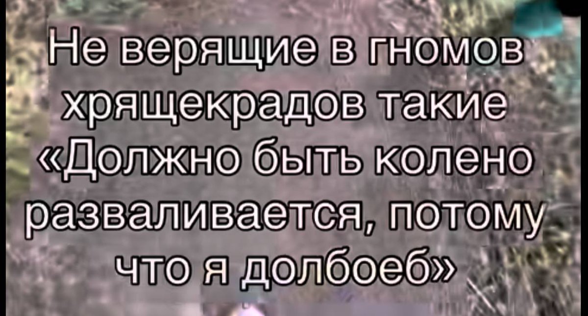 madamautro's tweet photo. колени — всё https://t.co/P4wxdJUpkE