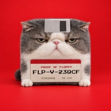 ITS_C4__'s tweet photo. #NewProfilePic

Been a long long time since I’ve changed PFP

But something about this cat

Something about the community

I love it

$FLOPPY to 8 figs. https://t.co/DRjQfCk5er