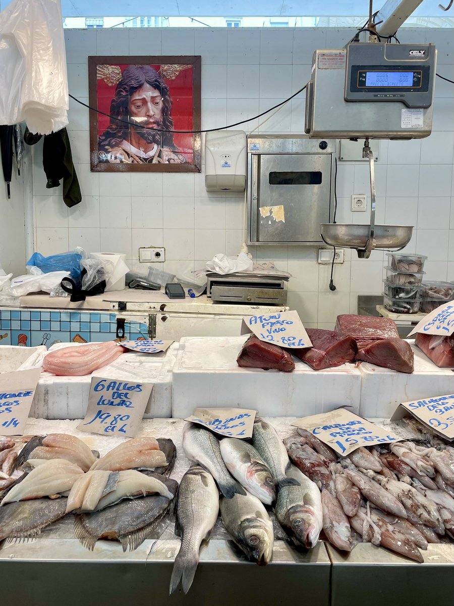 pbrionesmqz's tweet photo. Donde está la vida.

Mercado de abastos de Cádiz. https://t.co/sVsbvmd28b
