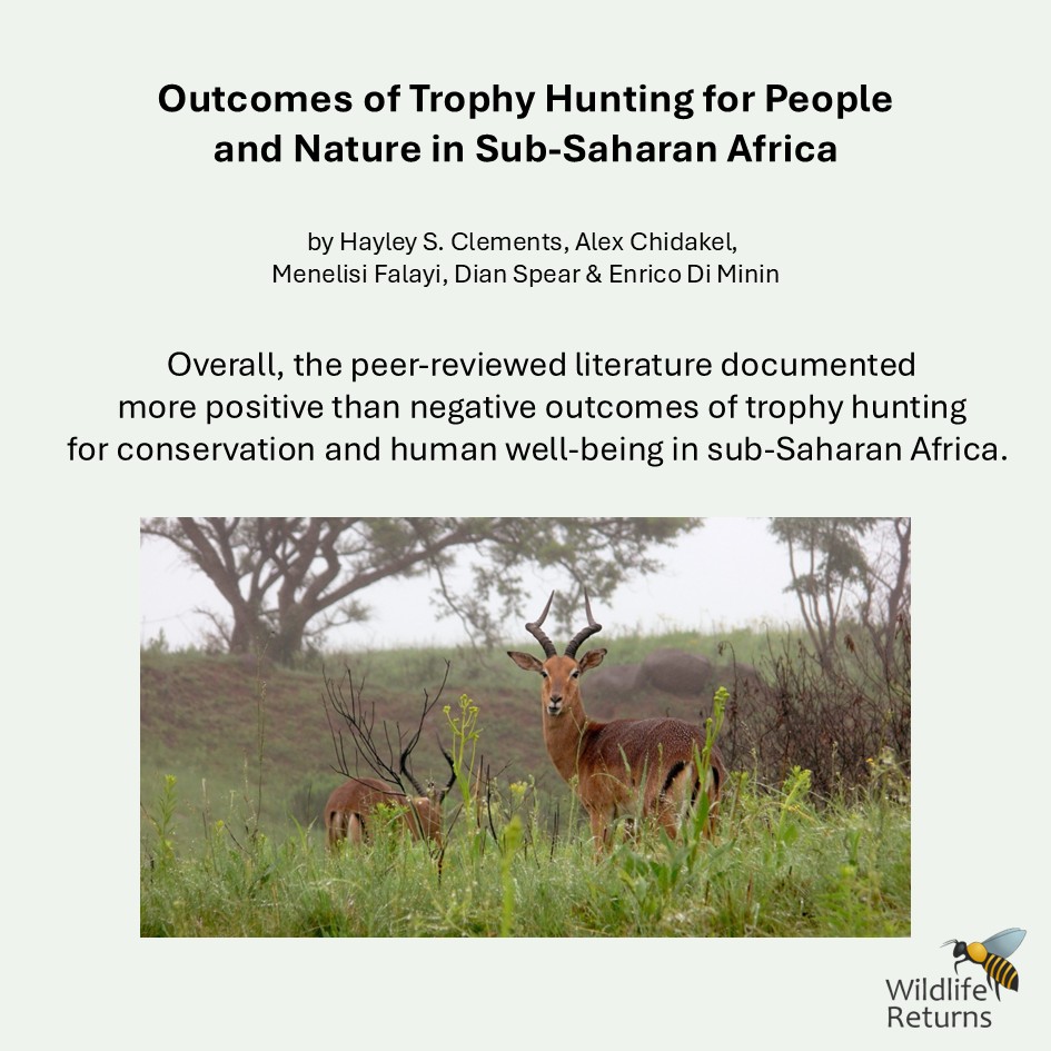 FrancisVorhies's tweet photo. See: https://t.co/4QT05mBp5m. A conclusion of this most interesting study deserves serious consideration: 

"...a standards-based approach to policies on trophy import and hunting management would be more constructive than the blunt tool of a blanket ban... https://t.co/LyD5HuQ47w