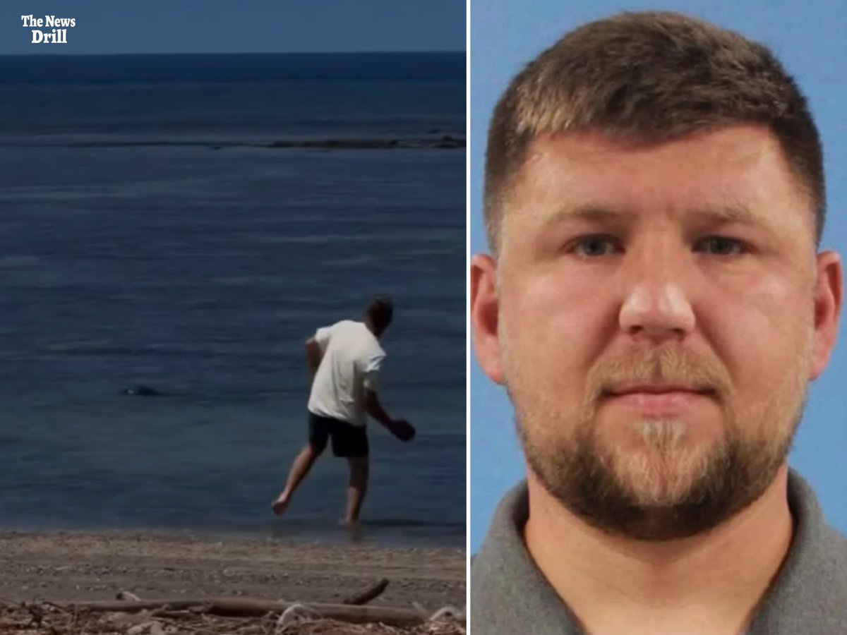 A split image with "The News Drill" watermark shows a man at the beach (left) and a mugshot of a bearded man (right). The post describes Igor Mykhaylovych Lytvynchuk, a Ukrainian businessman and US resident who allegedly threw a rock at an endangered Hawaiian monk seal, showing his beachside crime alongside his booking photo.