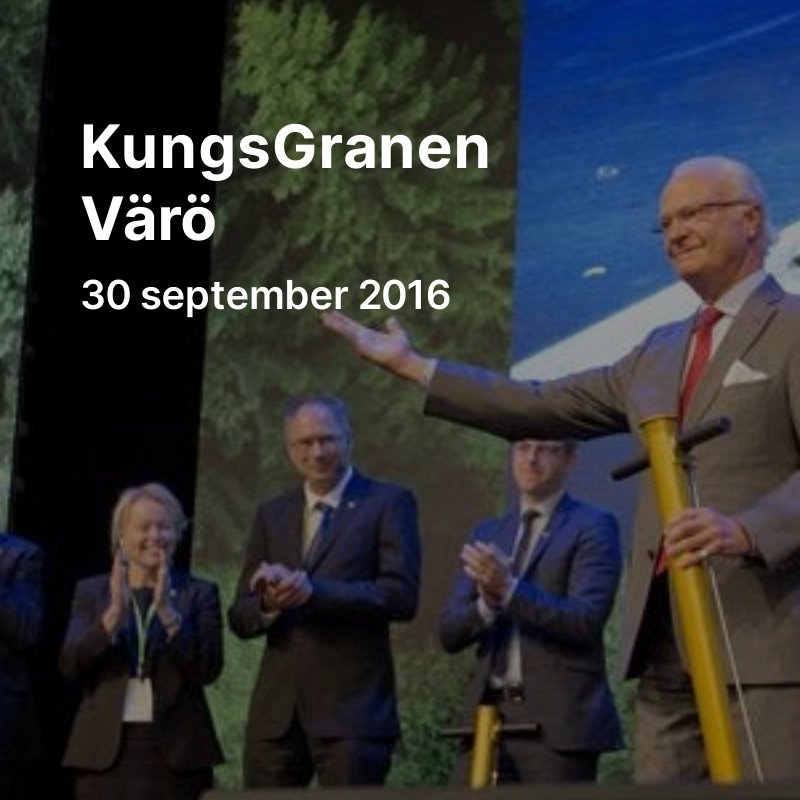 MiniUtbildning's tweet photo. KungsGranen Värö 🌲30 september 2016
https://t.co/jUC5c6nzLV

#ÅrsDag
Följ #KonungensTräd #1Tree-kalender här:

https://t.co/20MjqfYopA https://t.co/Xz5wDHP51F