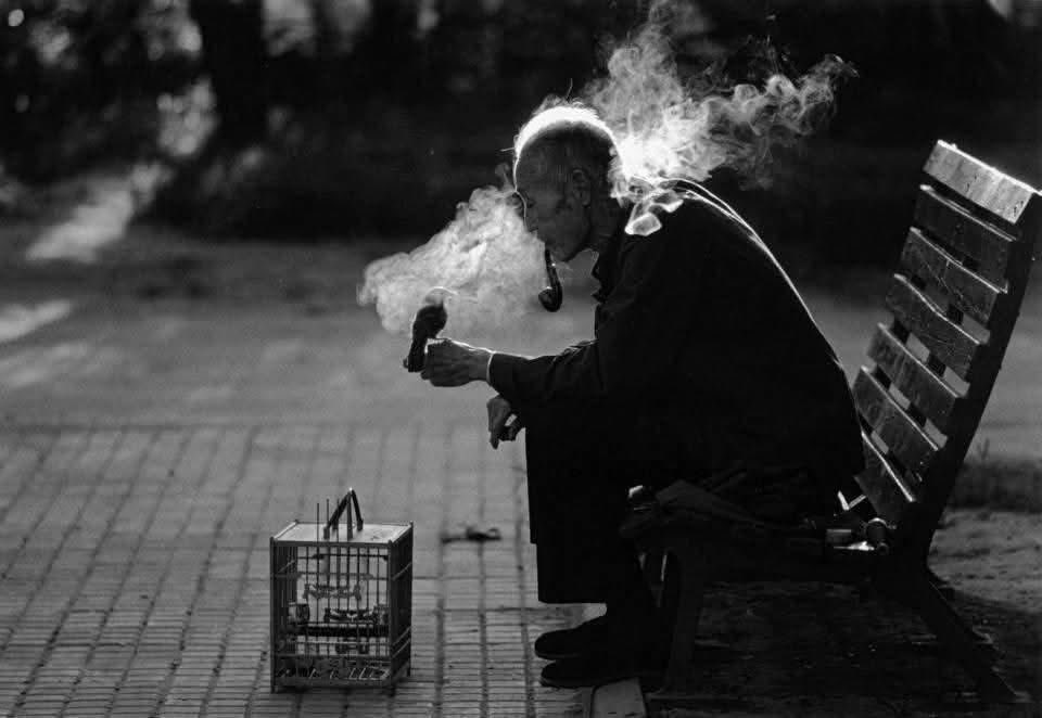 herteldenname's tweet photo. "Mutluluk bir yanılsamadır, gerçeği görenler mutlu olamaz."

#Tolstoy https://t.co/OgG88yscAe