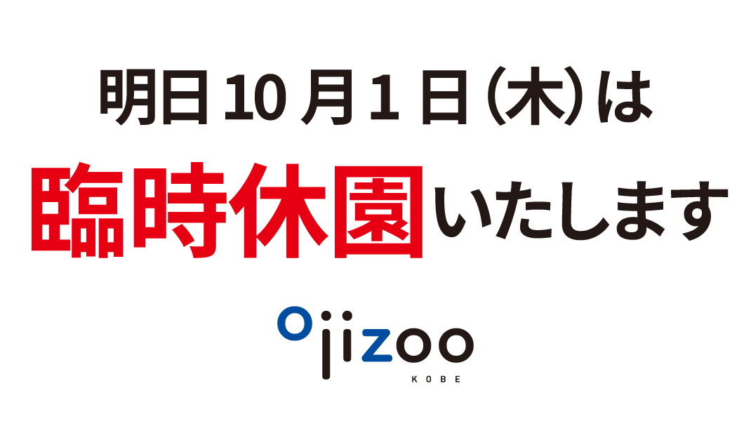 kobeojizoo's tweet photo. 【10/1　臨時休園のお知らせ】
アジアゾウの「マック」が亡くなったことによる、事後の諸対応およびスタッフの体制を整えるため、明日、10月１日（木）は臨時休園します。
ご迷惑をおかけしますが、ご理解のほどお願いいたします。
#王子動物園 https://t.co/N47gE3mIqX