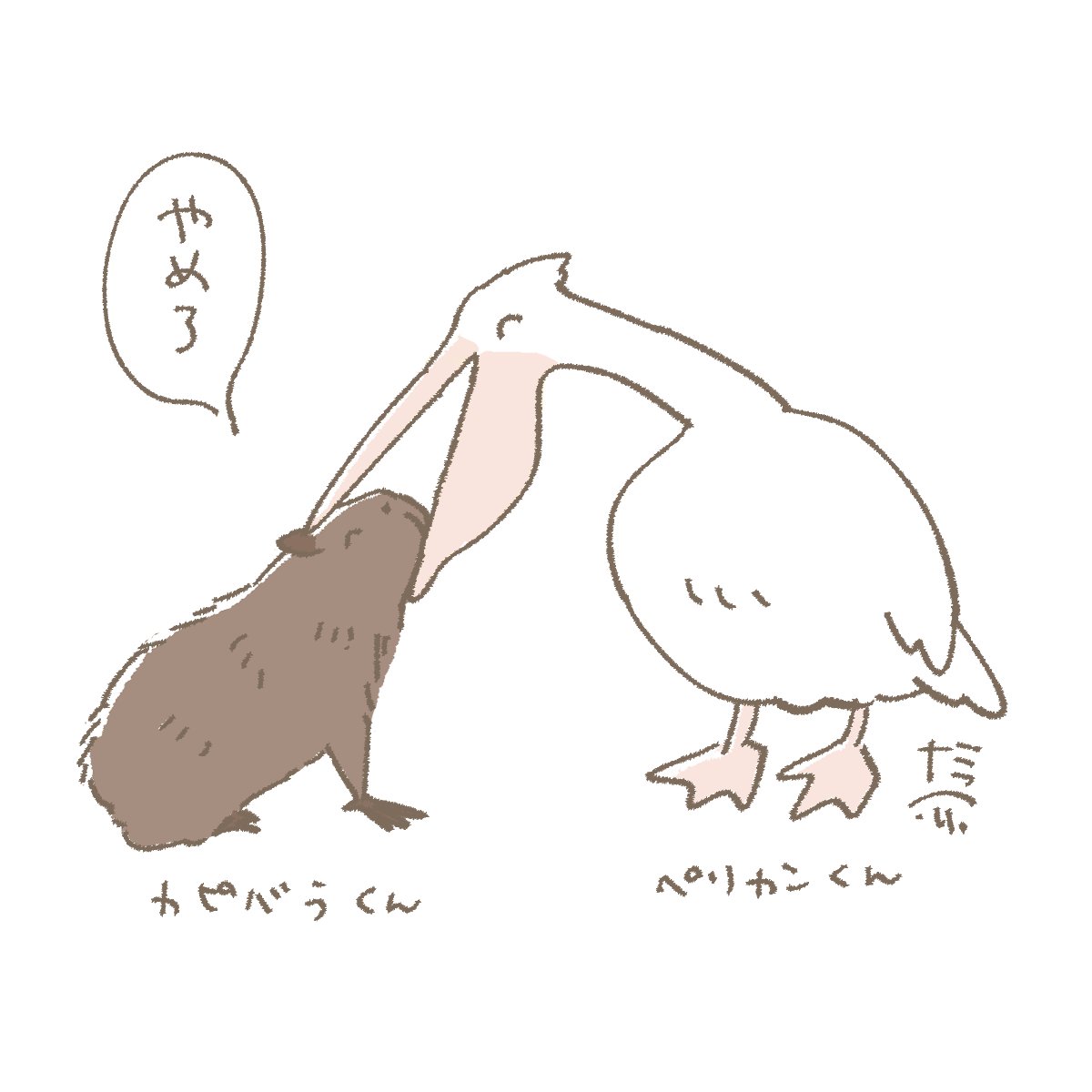 m_7777777333's tweet photo. おはようございます☀️
10月1日(木)の朝です。

ペリカンかわいいですよね https://t.co/cl7lSEJuMe