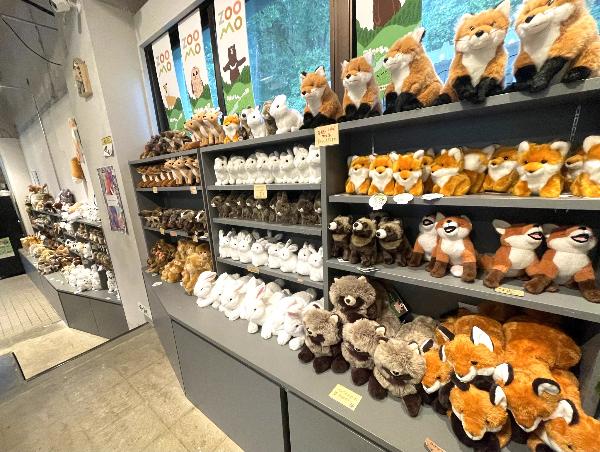 日本の生きものグッズ「くぅすけ工房」 on X: 