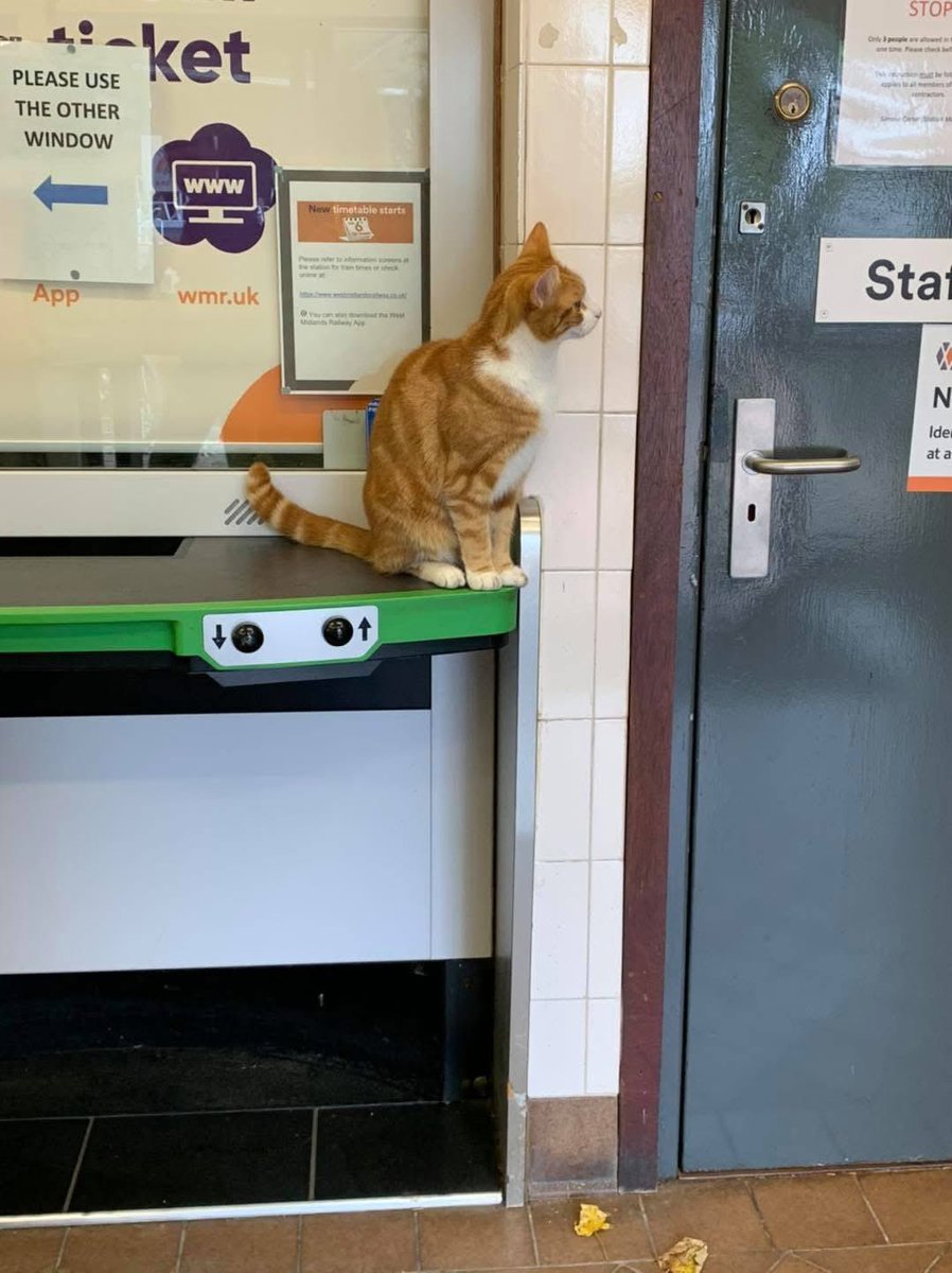 TheStourbridge's tweet photo. Knock knock.
    Who’s there?
Ham.
    Ham who?
Ham I supposed to work on an empty stomach?

It’s time for elevenses…. https://t.co/4lG9kaVUqa