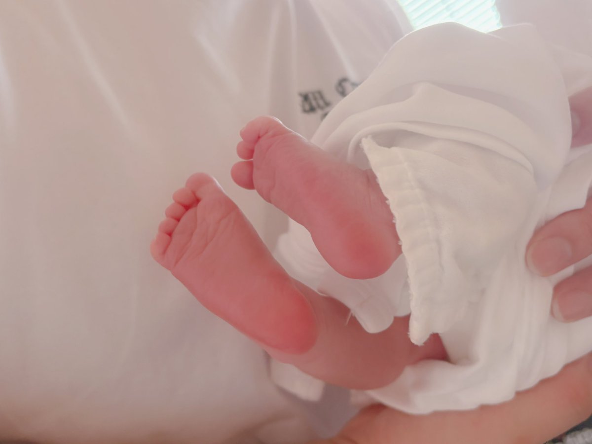 jillaaa_sky2's tweet photo. 羽海さん9:39に2830gで無事に出てきた🪼໒꒱ https://t.co/kqgciaNKEp