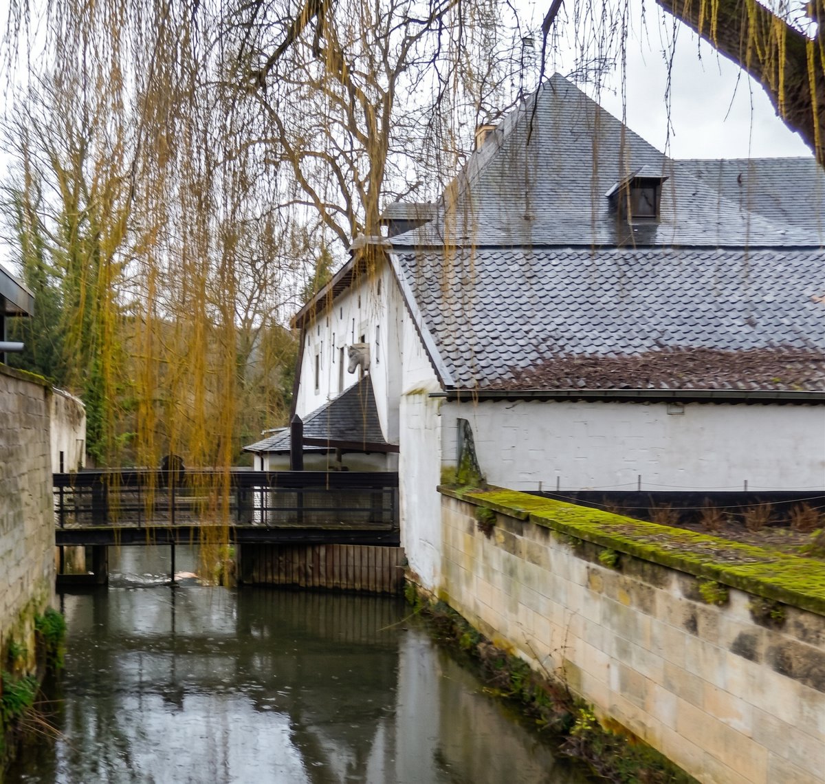 wimbeerden's tweet photo. Molenvan de dag
30 september 2026
De "Schaloense"watermolen uit 1699 nabij Valkenburg aan de Geul.
Foto's door mij genomen op 7 januari 2016 en verbeterd met AI. https://t.co/103pFkkxRe
