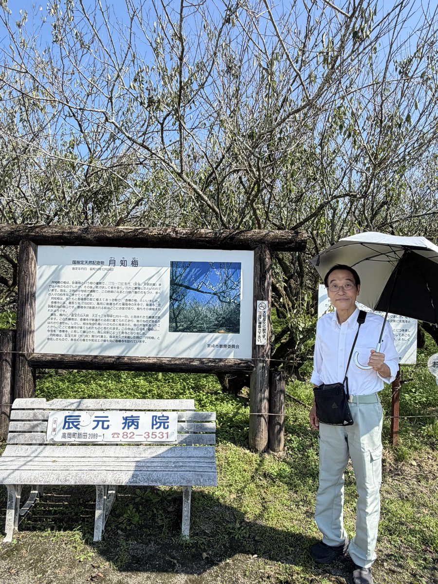 higashi_kokuba's tweet photo. 本日は宮崎市高岡町方面へ！国の天然記念物「月知梅」！ https://t.co/K3TgSdJK3P