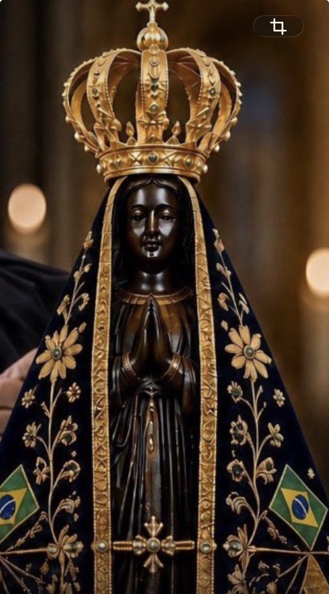 patyfantinati's tweet photo. Foi só o PT mexer com nossa Senhora que tudo pra eles começou a desabar, existem linhas que não devem ser cruzadas. https://t.co/1MQRztDI4x