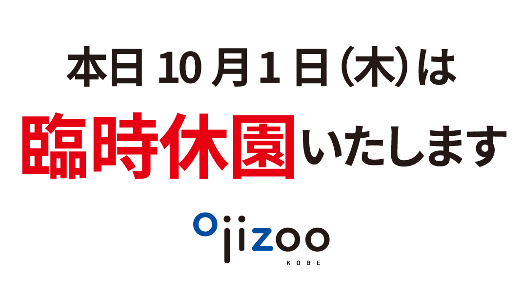 kobeojizoo's tweet photo. 【10/1　臨時休園のお知らせ】
アジアゾウの「マック」が亡くなったことによる、事後の諸対応およびスタッフの体制を整えるため、本日10月１日（木）は臨時休園にいたします。
以降休園日とする場合は園HP、Xにてお知らせします。
ご迷惑をおかけしますが、ご理解のほどお願いいたします。
#王子動物園 https://t.co/1fe6rPWVbO