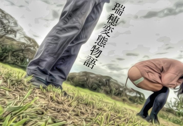 michasuka2's tweet photo. 今日と昨日と一昨日の三日間で野糞目撃、追加野糞懇願、お尻拭き拭きの三部作を投稿しました💝

３つ全てリポストして下さった方へ旧作モ無動画を送らせて頂きます💝

お済みになりましたらリプよりお知らせください💝フル動画で見たい方はDMまでお越し下さい💌 https://t.co/r1TecD7xFd