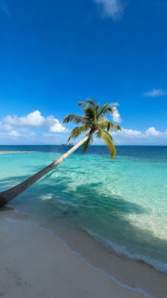 viewsoff's tweet photo. Maldives 🇲🇻 https://t.co/jFTxIVYdsd