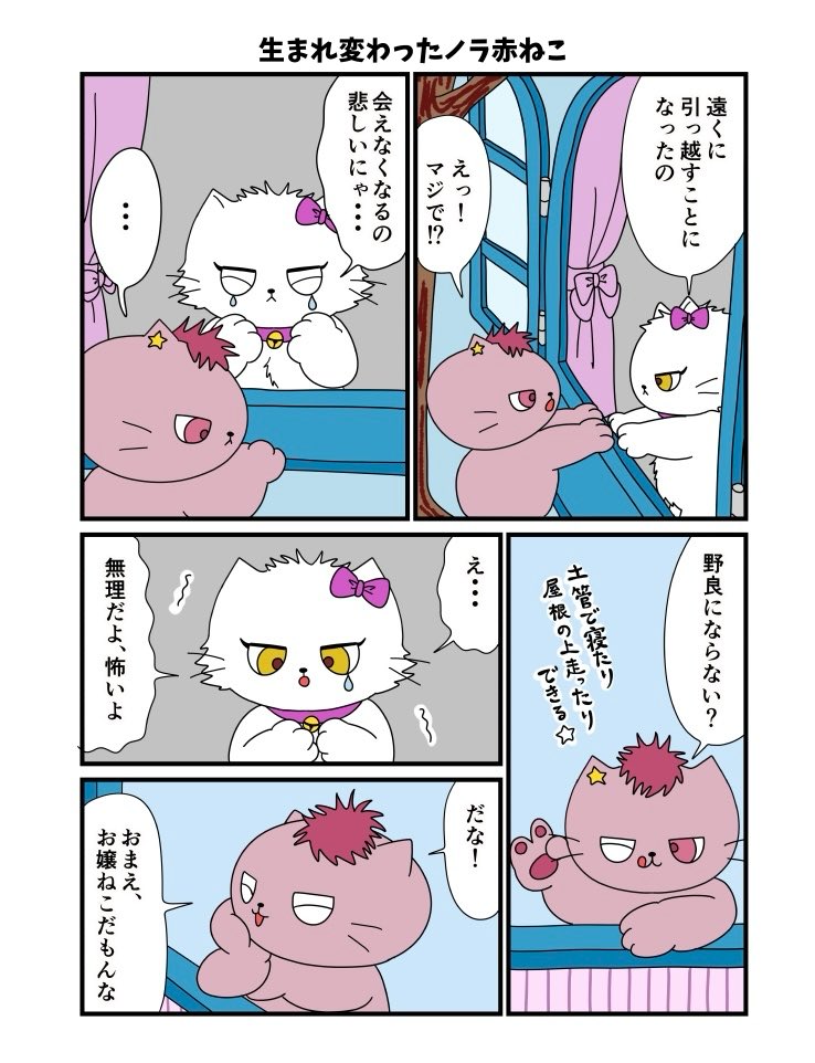 fukojasmine's tweet photo. 生まれ変わったぼっち猫はまた、ぼっちになった
(1/2) https://t.co/LYCO9evNHR