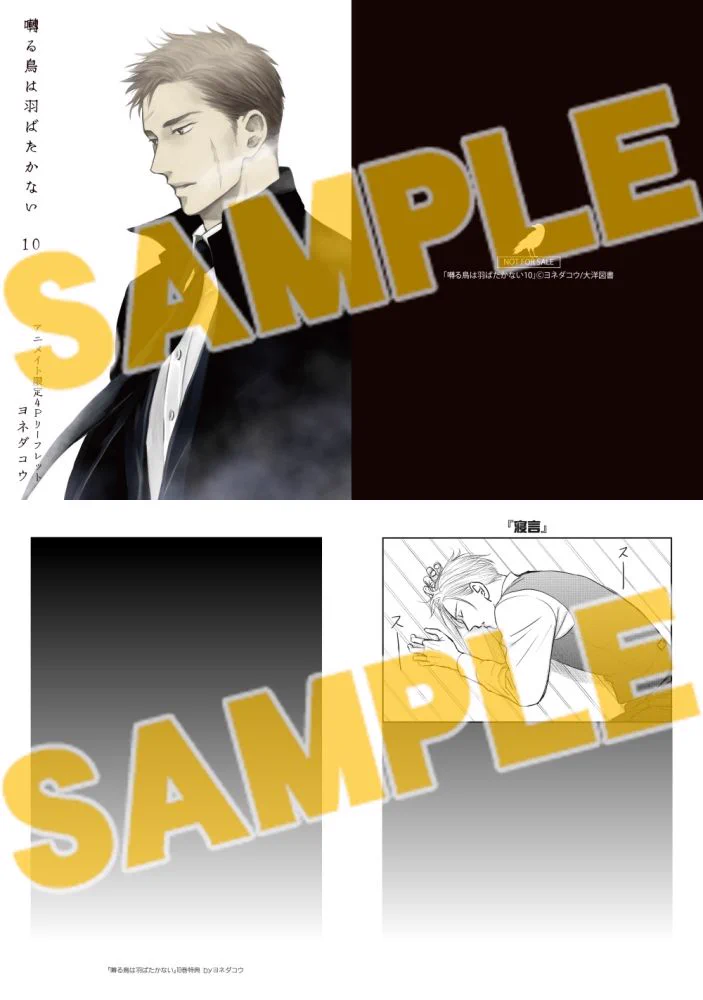 アニメイト商品情報局 в X: „【書籍】「囀る鳥は羽ばたかない(10