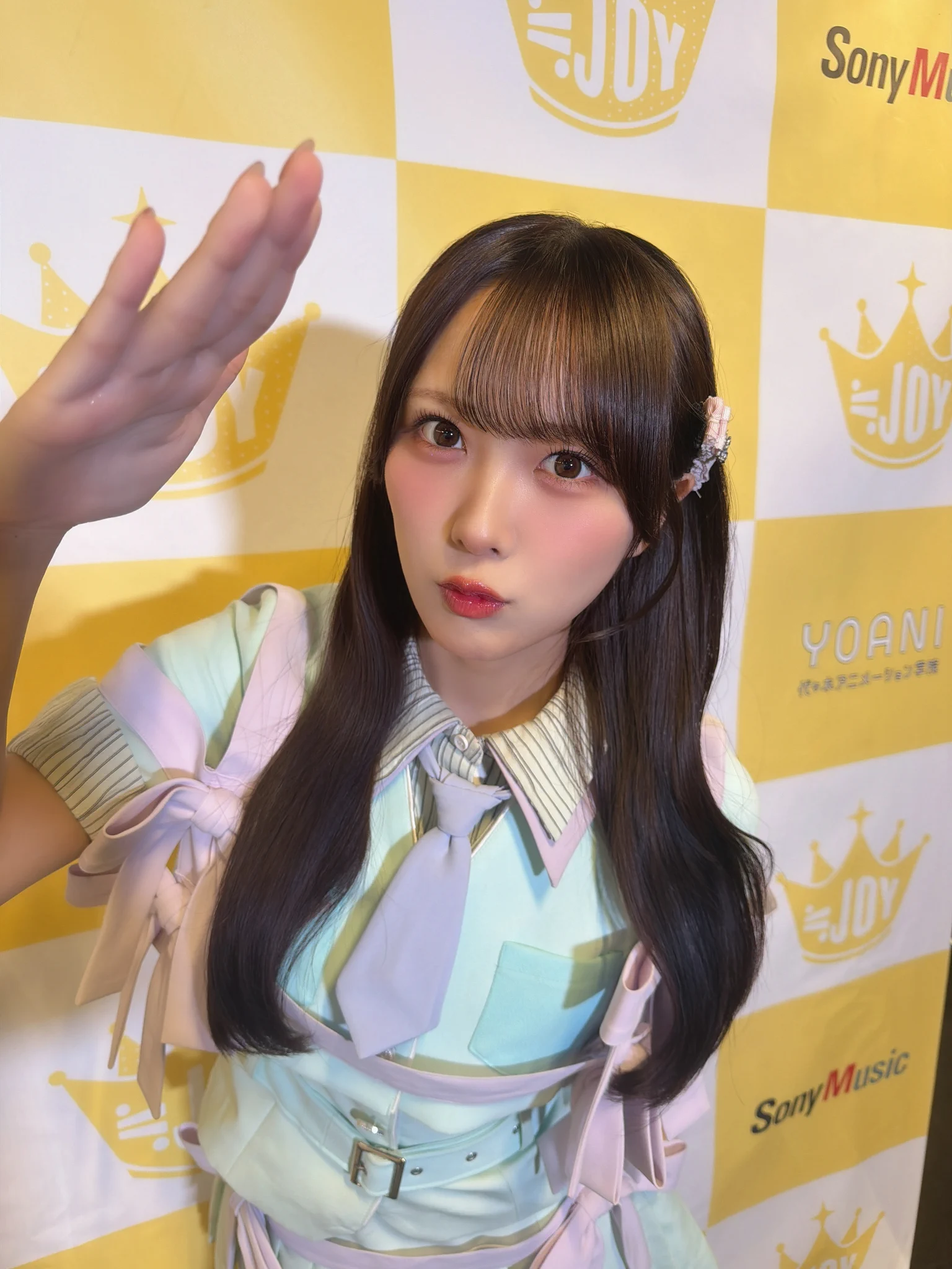 活動歴および当時の関連ビジュアル記録