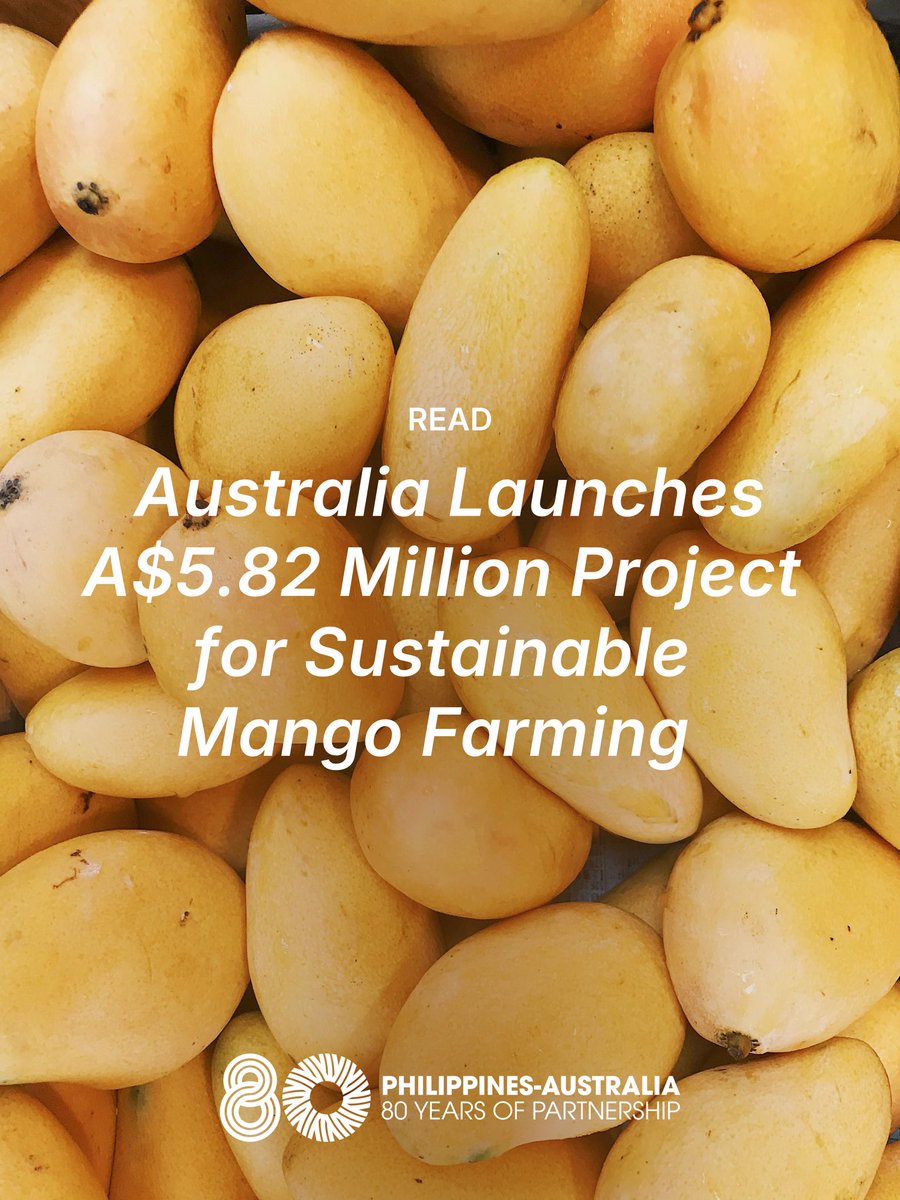 AusAmbPH's tweet photo. 🇦🇺🥭🇵🇭 are building a more resilient and globally market-competitive mango industry. 

@ACIARAustralia launched a new 4.5-year, A$5.82 million research project to reduce pesticide overuse and expand sustainable pest management across the mango industries in 🇦🇺🇵🇭🇮🇩 https://t.co/DbIFtOv94O