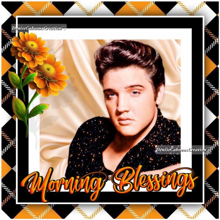 denisecahoon4's tweet photo. Good Morning/Afternoon 
Precious #ElvisFriend 
Hope You Are Well 
Have A Wonderful Day 
#WednesdayBlessings 
🌈🕊☕🌴☕🕊🌈 https://t.co/waDOKMuDD9