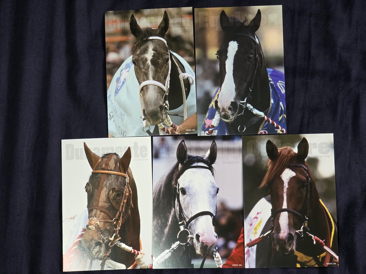 toshi31525's tweet photo. サラブレッドコレクション🏇✨
GIGO限定✨カレンチャン✨GET✨
今回のGIGO限定コンプしました〜✨☺
＃GIGO
＃カレンチャン
＃サラコレ
＃ゴールドシップ
＃イクイノックス
＃オルフェーヴル
＃ドゥラメンテ https://t.co/3H2ifr5WVP