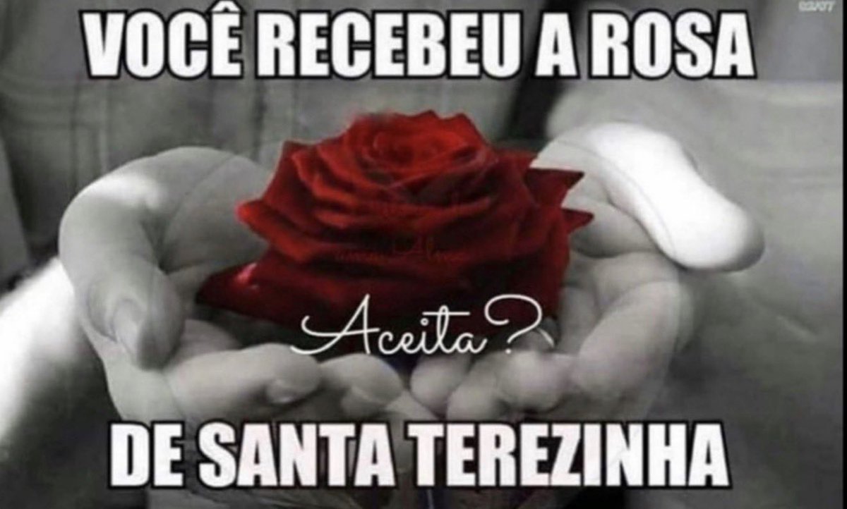 pemarcelorossi's tweet photo. Amados 
Semana de SANTA TEREZINHA 🌹🌹🌹
ATENÇÃO 🚨🚨🚨a partir de HOJE!!!
A COROA(Terço 📿)DE SÃO MIGUEL ARCANJO ⚔️🛡️✝️ no YOUTUBE  será depois do MOMENTO DE FÉ 🙏 , que é às 8 horas ao vivo pela RÁDIO 📻 e no App(Aplicativo) e também no #spotify (Gravado)
Formiguinhas de #jesus 🐜🐜🐜
Vamos marcar e compartilhar 👍🙌
Avisem os familiares e amigos 🤗🙏🙏🙏
Para ser notificado, por gentileza se inscrevam no meu canal do #youtube 

https://t.co/hA4ZfeIwEm

Deus abençoe 🤲🙌✝️
Espero vocês 🌹🌹🌹