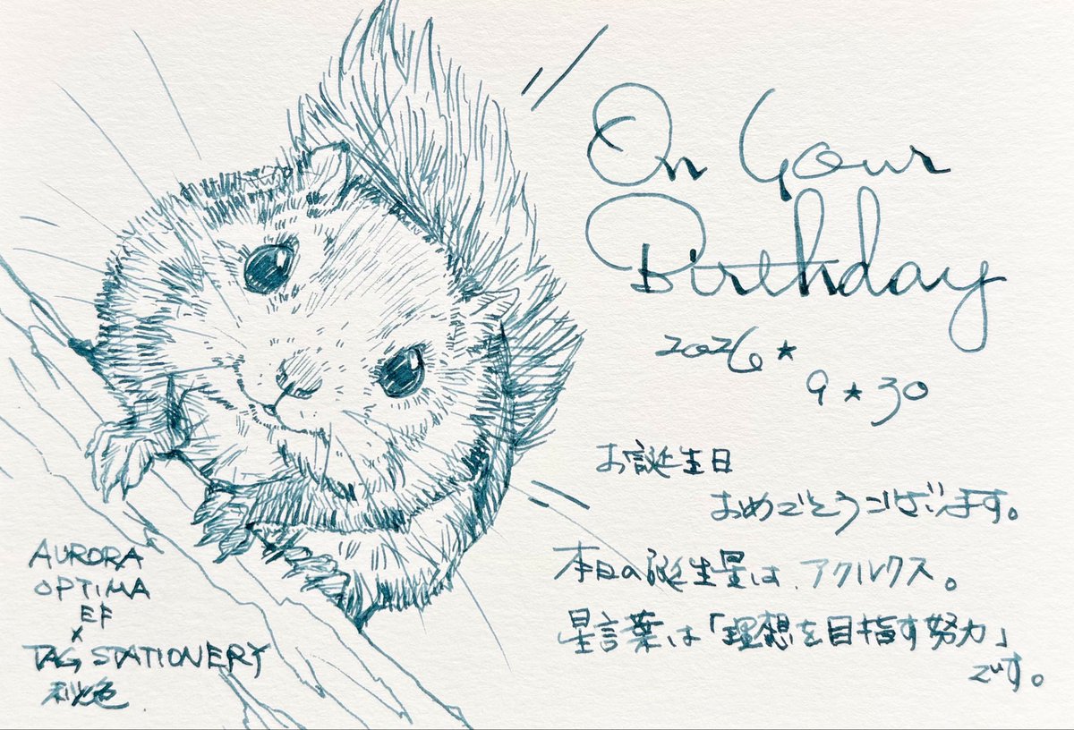 DT_stylo's tweet photo. #本日お誕生日のフォロワー様へ
#手書きツィート
エゾモモンガ
（つ） https://t.co/pNxnL7cTFL