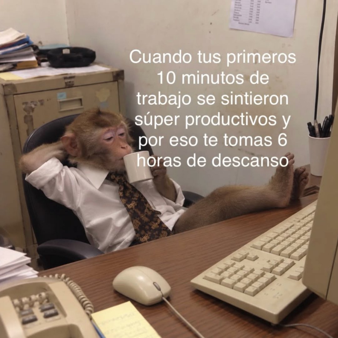 carlaconwifi's tweet photo. me lo merezcoooo https://t.co/DcNkjRDMdu