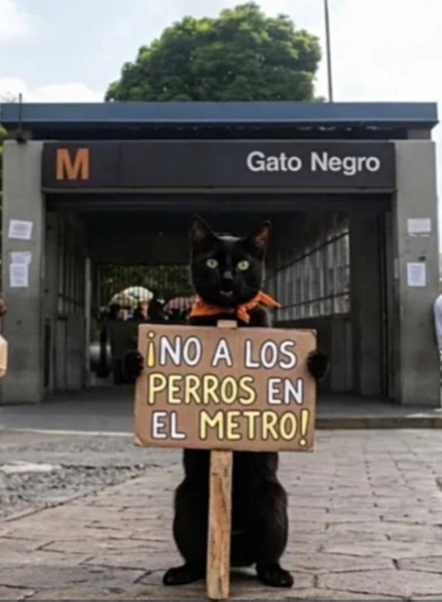 Carol18ing's tweet photo. El Metro de Caracas reafirma su norma. 👇🏻 https://t.co/KjCzRdaQys
