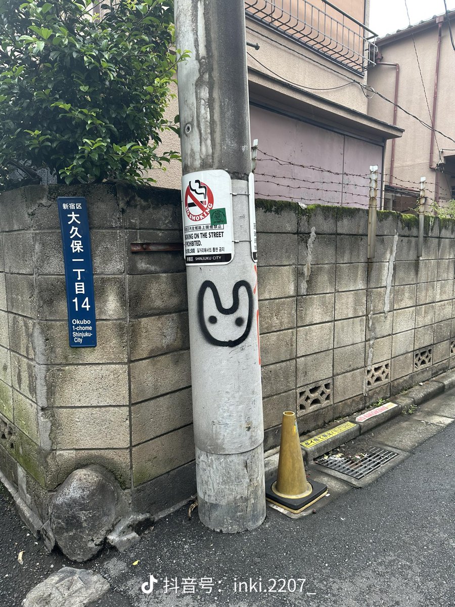 bborbnz's tweet photo. https://t.co/hGfekvcRrl