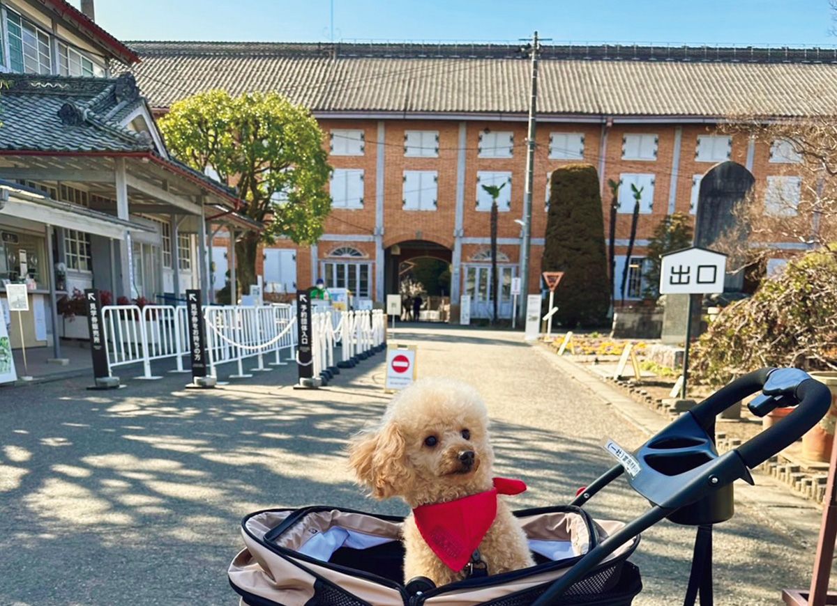 BRUTUS_mag's tweet photo. 【最新号から特別公開】
犬と一緒なら、お出かけはもっと楽しくなる。専門メディアのお薦めスポット16選 
https://t.co/fDWxaRZqiC

BRUTUS最新号「犬と、暮らせば。」は10月1日発売です。 https://t.co/tzYWU83xHV