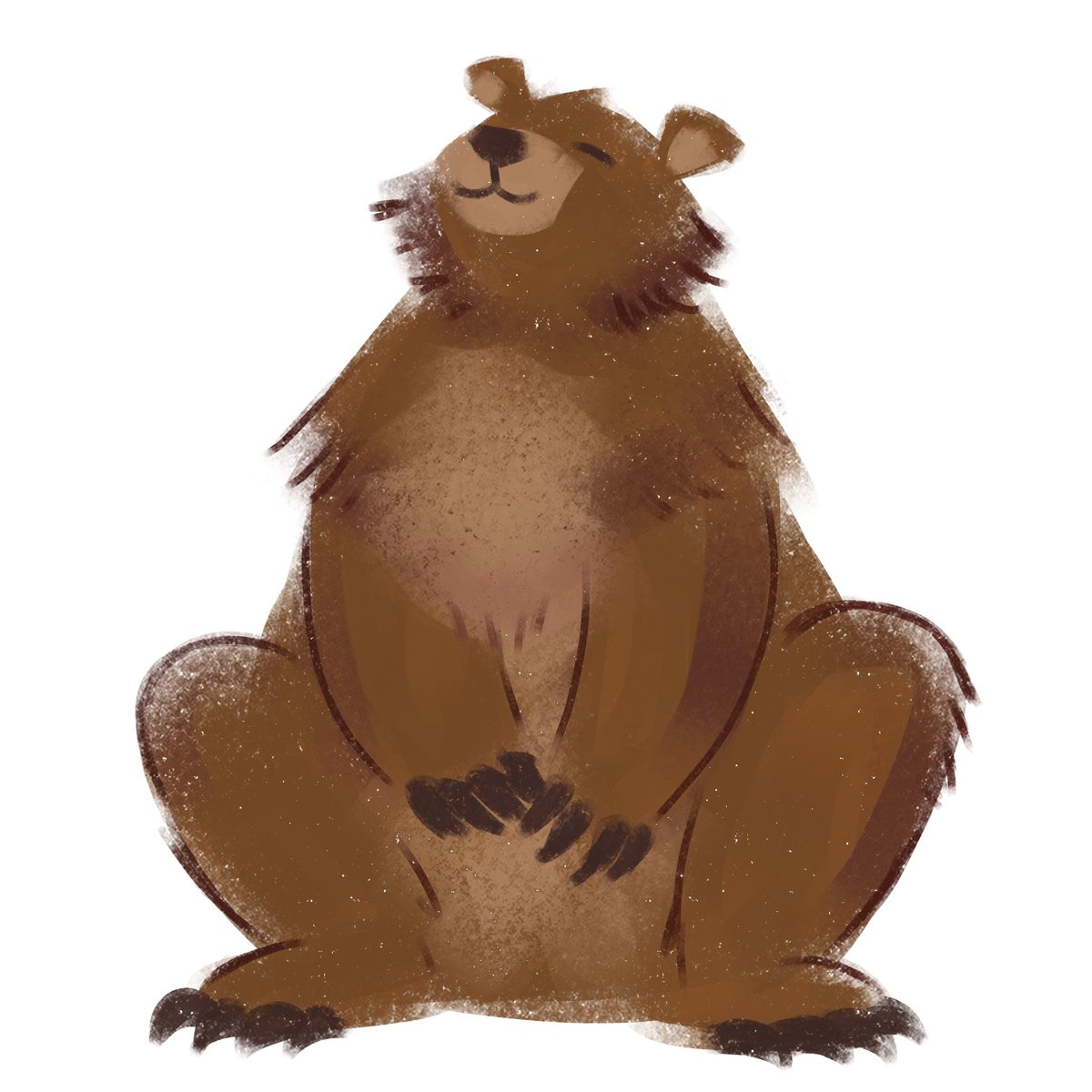 nat956_'s tweet photo. Bear https://t.co/DC68cz3chS
