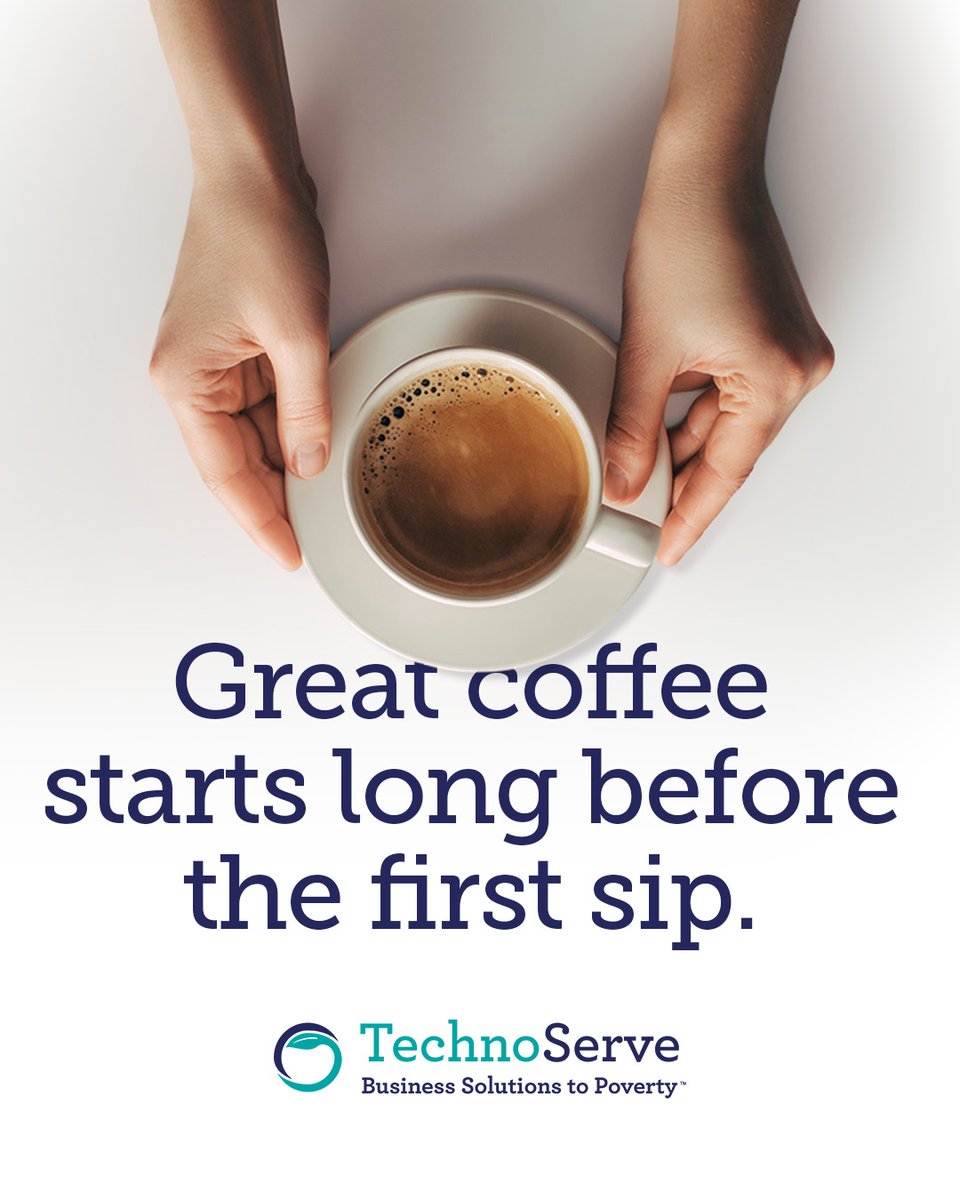 TechnoServe's tweet photo. Great coffee starts long before the first sip.
It starts with training, careful processing, and farmers who actually get paid what their harvest is worth. That's the work. 🌱☕ https://t.co/5Qzo0lGjfp